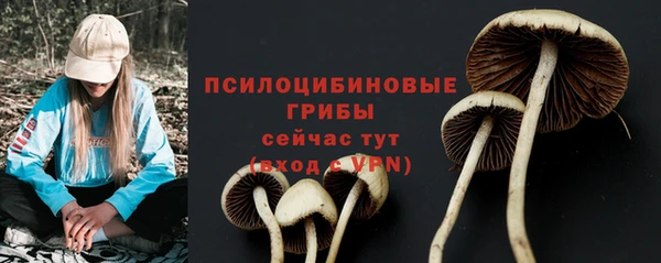 ПСИЛОЦИБИНОВЫЕ ГРИБЫ Дмитровск
