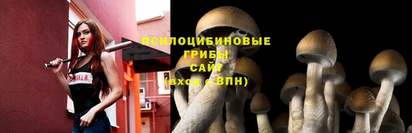 амфетамин Гусь-Хрустальный