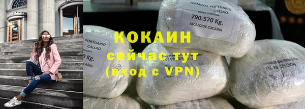 молекула духа Дмитров