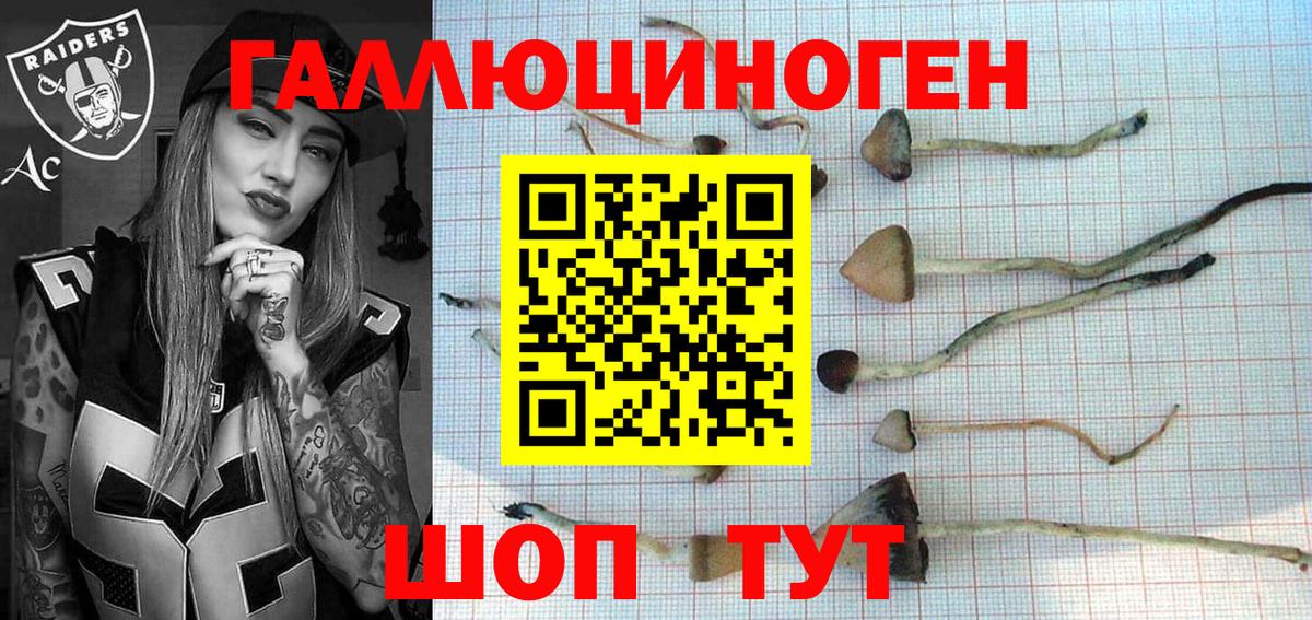 Псилоцибиновые грибы мухоморы Белореченск