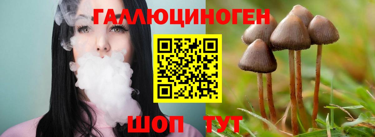 Белореченск  Псилоцибиновые грибы Psilocybe  Вход с VPN 
