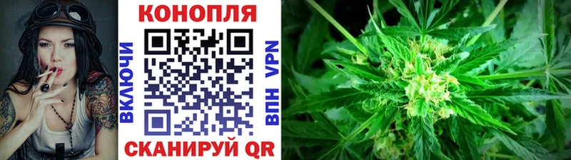 darknet формула  Белореченск  Конопля марихуана  как найти закладки 